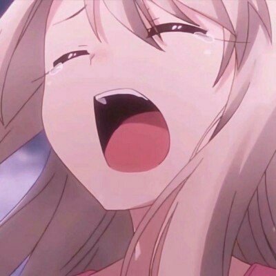 宠物狗撕咬羊羔